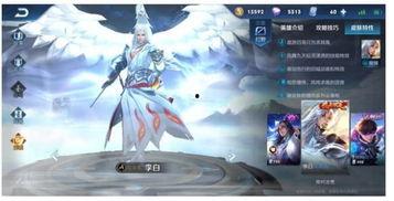 2025典藏皮肤最新爆料王者,揭秘全新英雄生成与神秘爆料