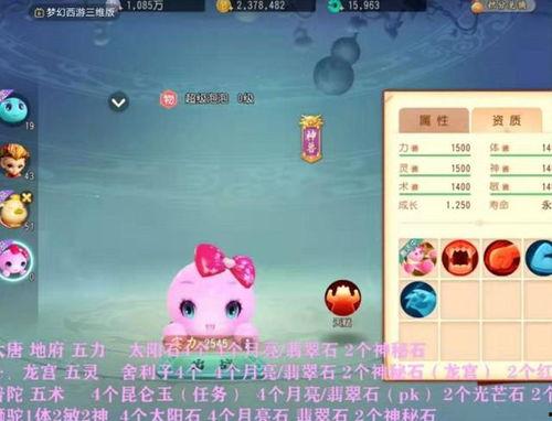 梦幻西游瓜瓜最新爆料,揭秘游戏新动向与神秘更新内容